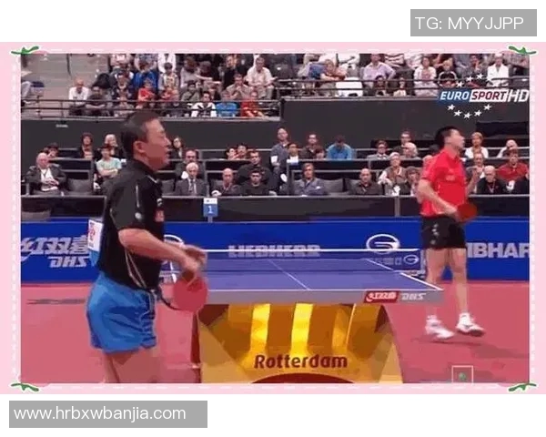 从零基础到高手之路乒乓球技巧与心态全面提升攻略 从零基础到高手之路乒乓球技巧与心态全面提升攻略