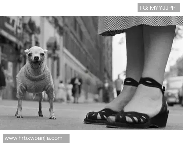 在日本街头捕捉足球明星的精彩瞬间与独特风采