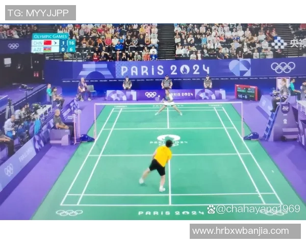 羽毛球比赛经验排行榜揭晓杭州羽毛球队荣获第七名成就辉煌