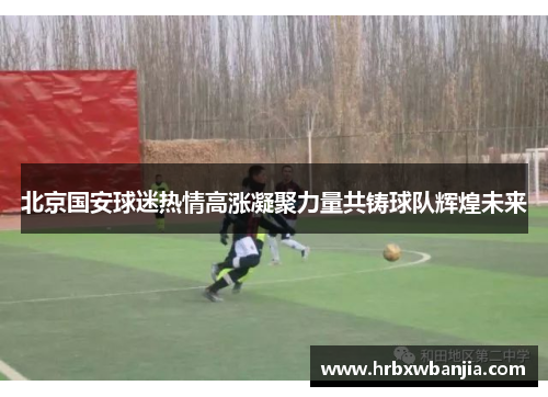 北京国安球迷热情高涨凝聚力量共铸球队辉煌未来